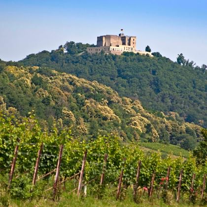 Château de Hambach