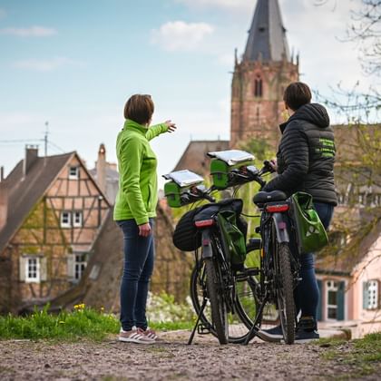 header-circuit-brassicole-velo-alsace