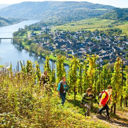 Sentier du Moselsteig