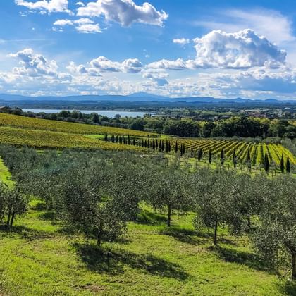 Ombrie, vue sur le Lac Trasimeno