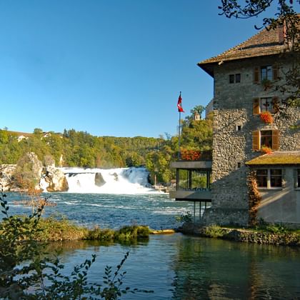 Chutes du Rhin