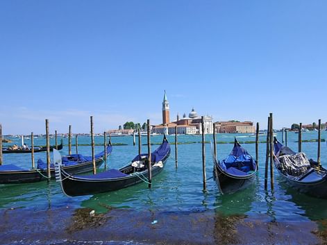 Venise et ses gondoles