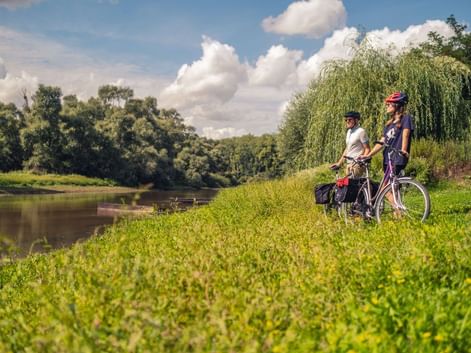 Réserve naturelle du delta de la Sauer, à Munchhausen