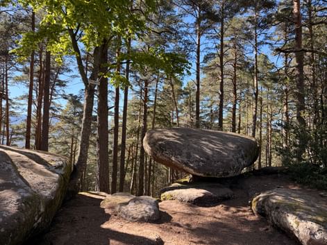 Grande roche en équilibre en forme de champignon sur un piédestal, entourée de pins dans la forêt des Hautes-Vosges, avec ciel bleu visible.