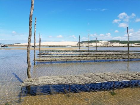 Bassin d'Arcachon