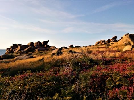 Côte de granit rose, Bretagne