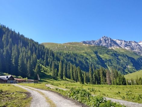 Vallée de Lech
