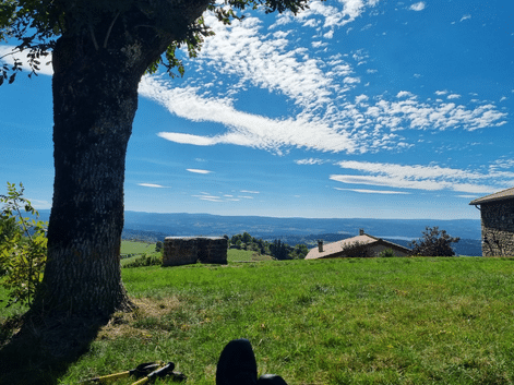 Vue le long du chemin de Stevenson montrant un grand arbre sur prairie verte, maisons en pierre et montagnes lointaines sous ciel bleu.