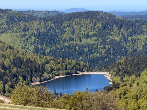 Lac de montagne bleu entouré de forêt dense de conifères dans les Hautes-Vosges. Collines boisées s'étendant vers montagnes lointaines.