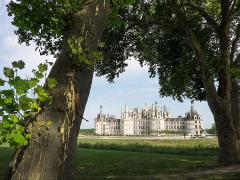 Les châteaux de la Loire à vélo en famille