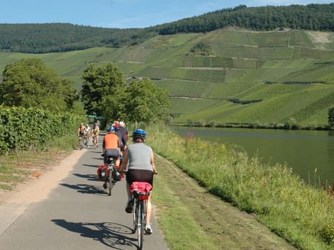 Pédaler Sur les rives de la Moselle