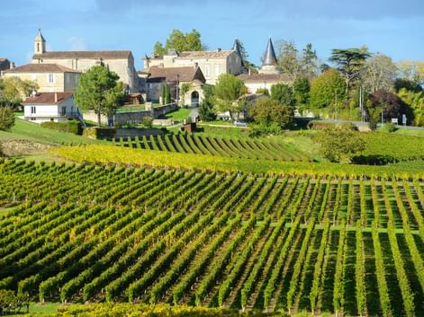 Vignobles de Saint-Emilion
