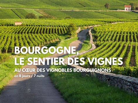 Randonnée clé en main en Bourgogne. Vue du vignoble de Pommard.