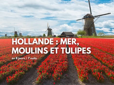 La Hollande à vélo : mer, moulins, tulipes