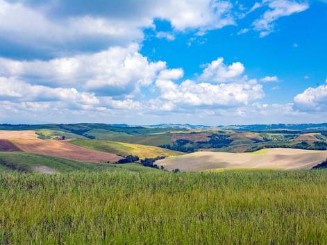 Vue panoramique des collines ondulantes de Toscane avec champs de blé verts au premier plan et terres agricoles dorées s'étendant à l'horizon.