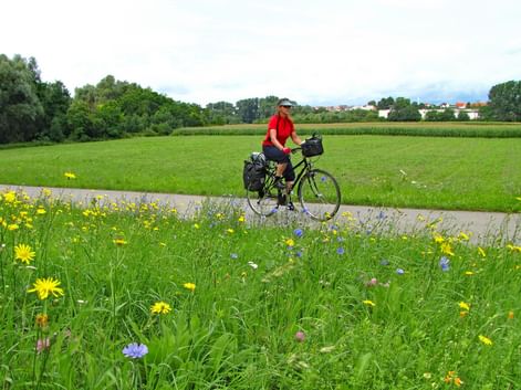Cycliste sur la piste cyclable du Neckar