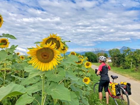 Voyage à vélo en famille sur l'Alpe Adria, de Villach à Grado