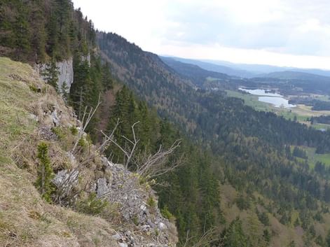Mont Risoux, Jura