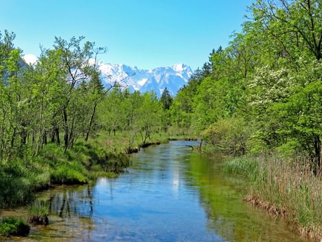Ruisseau paisible coulant à travers des prairies vertes près de Garmisch-Partenkirchen avec des sommets alpins enneigés visibles au loin.