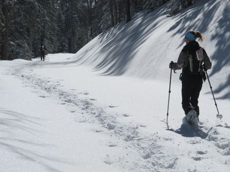 Randonnée en raquettes dans le Vercors