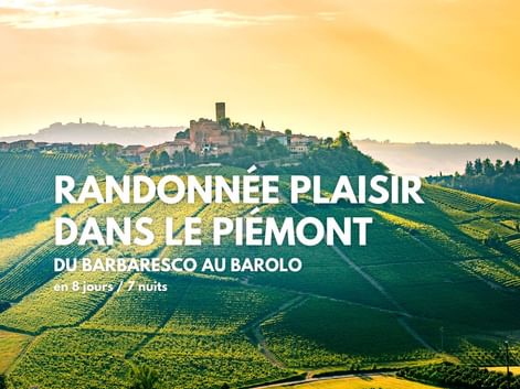 Splendide vue sur le vignoble de Barolo dans le Piémont italien
