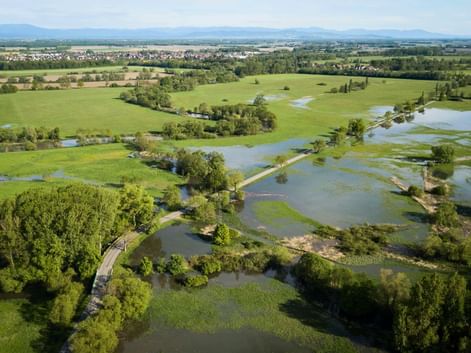 Vue aérienne sur le Ried alsacien