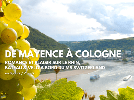 Raisins blancs et feuilles de vigne encadrent une vue du Rhin avec bateaux de croisière, collines vertes et ville fluviale sous un ciel nuageux.