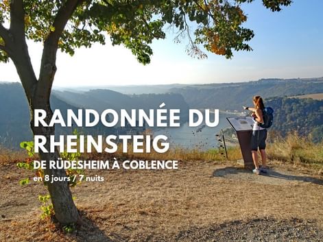 Randonneur avec sac à dos lisant panneau d'information sous arbre au point de vue pittoresque du Rheinsteig sur la vallée du Rhin.