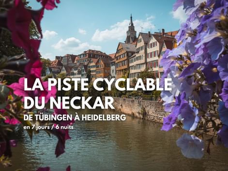 Sur la piste cyclable du Neckar, de Tübingen à Heidelberg, séjour à vélo clé en main