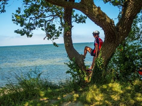 Cyclotouriste admire la vue sur les étendues d'eau de Bodden