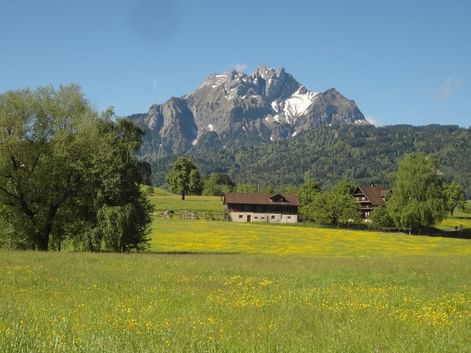 Vue sur le mont Pilate depuis la péninsule de Horw