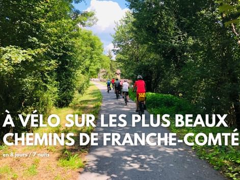 Groupe de cyclistes sur un chemin asphalté à travers une forêt verdoyante en Franche-Comté. La lumière du soleil filtre à travers les arbres.