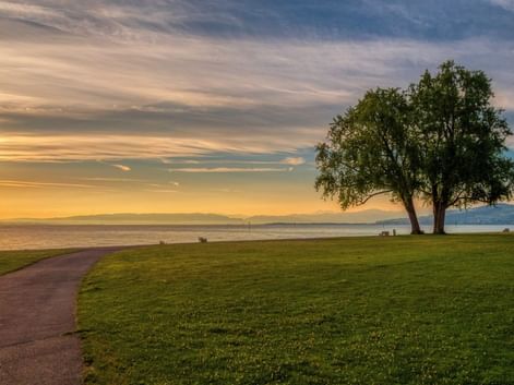 Arbon