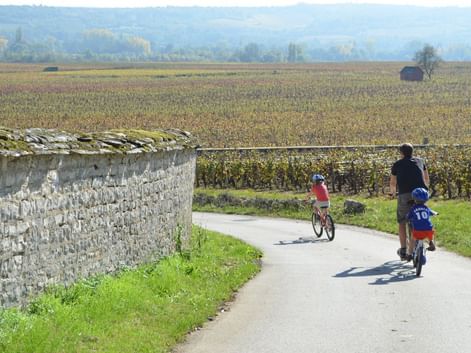 Cyclotourisme en famille en Bourgogne