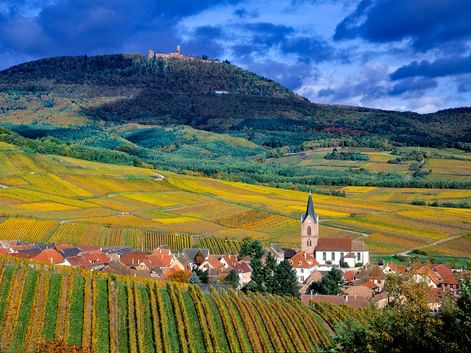 Vue d'un village alsacien niché au bas d'une colline surmontée du Haut-Koenigsbourg