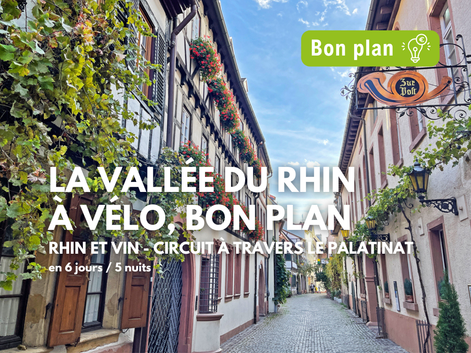 Vue de rue circuit vélo vallée du Rhin Rue pavée dans la vallée du Rhin avec maisons à colombages traditionnelles, jardinières fleuries et bannière verte 'Bon plan'.