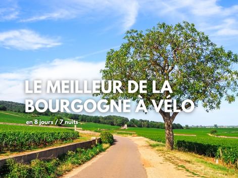Le meilleur de la Bourgogne à vélo