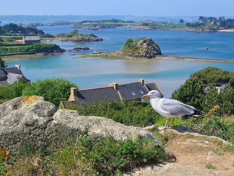 bretagne-circuit-ile-brehat-c-pixabay