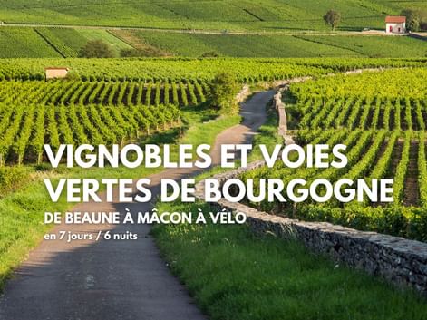 Vignoble de Pommard