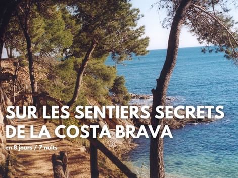 Sentier de randonnée côtier à travers les pins surplombant la mer Méditerranée turquoise sur la Costa Brava, Espagne. Mur de pierre visible à gauche.