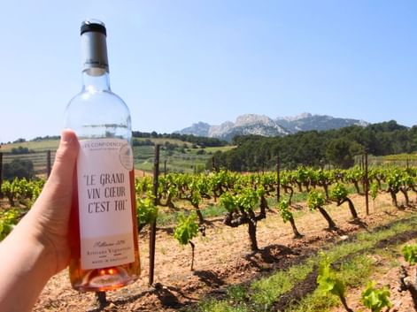vin-vaucluse-cote-du-rohne-provence