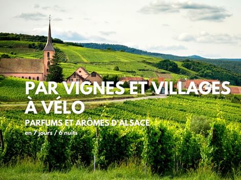 Vignoble alsacien