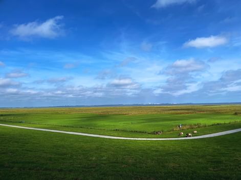 Vastes prairies et champs verts s'étendant vers l'horizon de la mer du Nord sous un ciel bleu avec des nuages blancs. Une route courbe traverse le paysage.