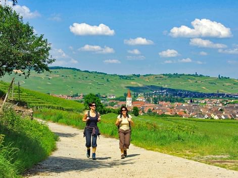 Randonneuses marchant sur un sentier dans les environs d'Ammerschwihr