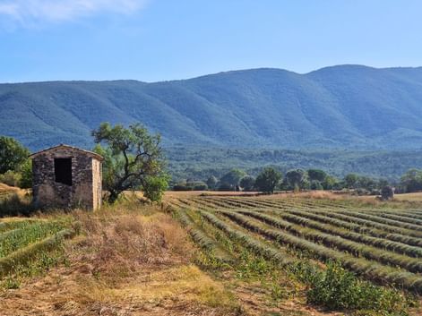 luberon-randonnee-ville-gordes-champs