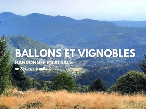 Vue sur la Vallée de Munster