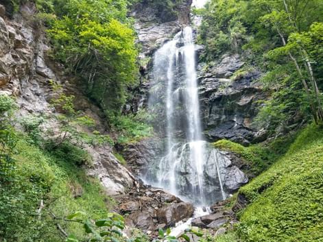 Cascade Finsterbach