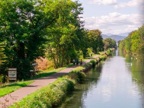 Véloroute du Canal, Colmar