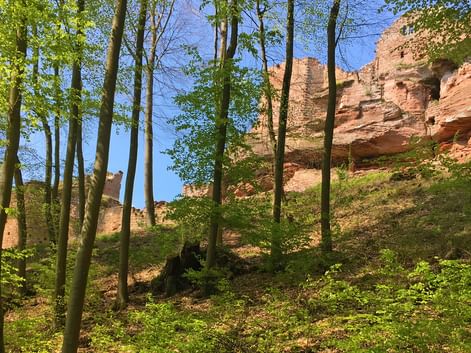 Ruine de château fort dans les Vosges du Nord