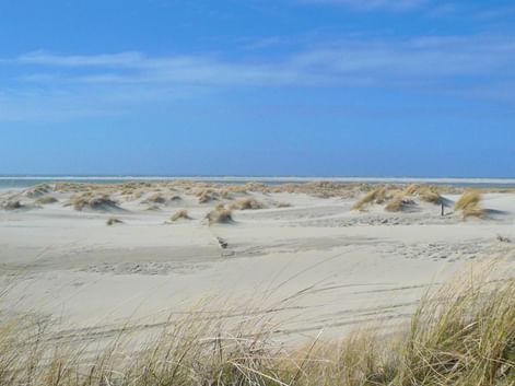 Borkum
